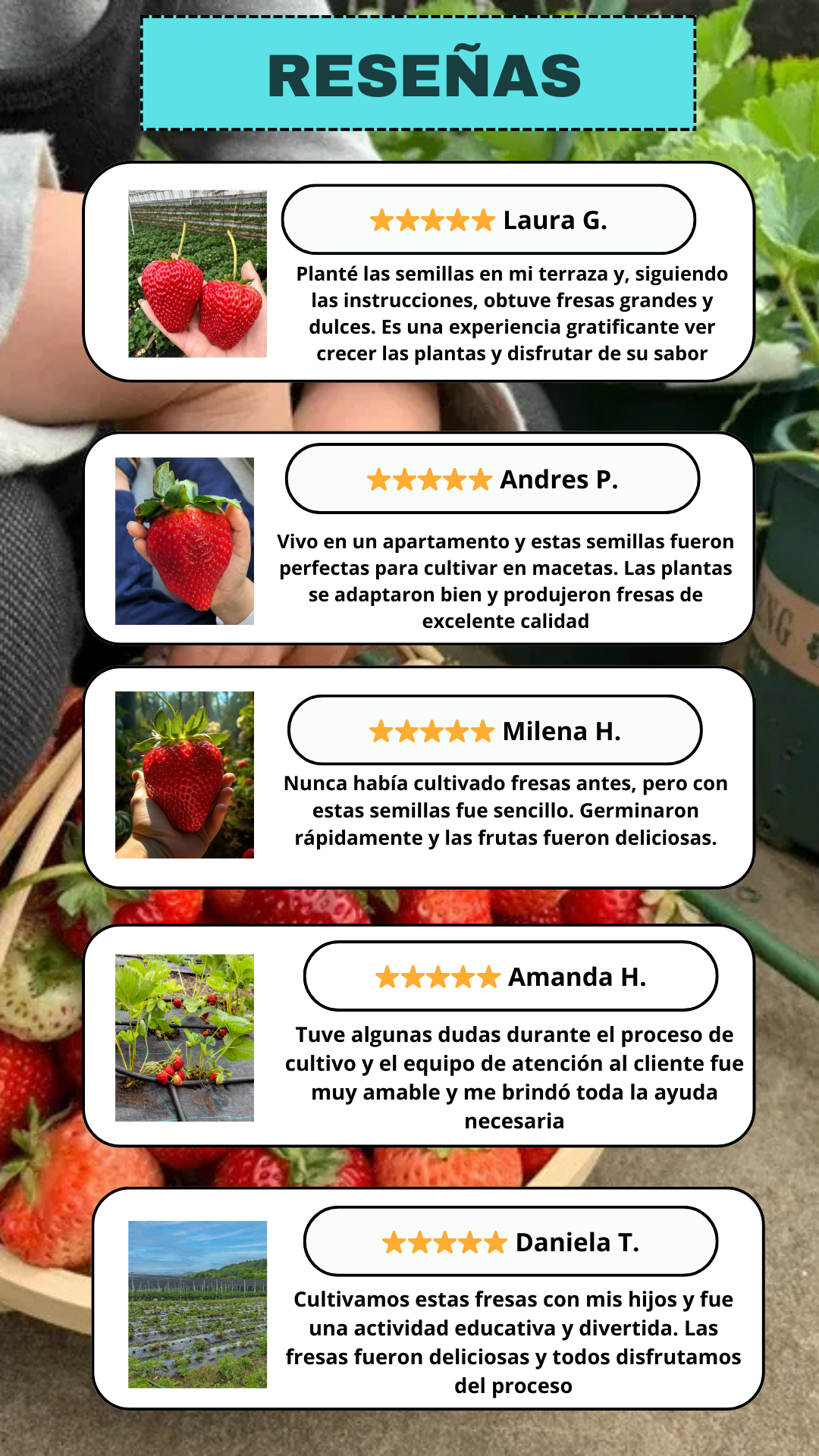 وصلات شعر بمشبك، قطعة واحدة، ١٠٠٪ شعر بكر